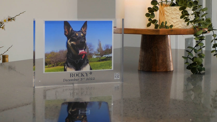 Dog Memorial Photo Memory Plaque, A5 Acrylic