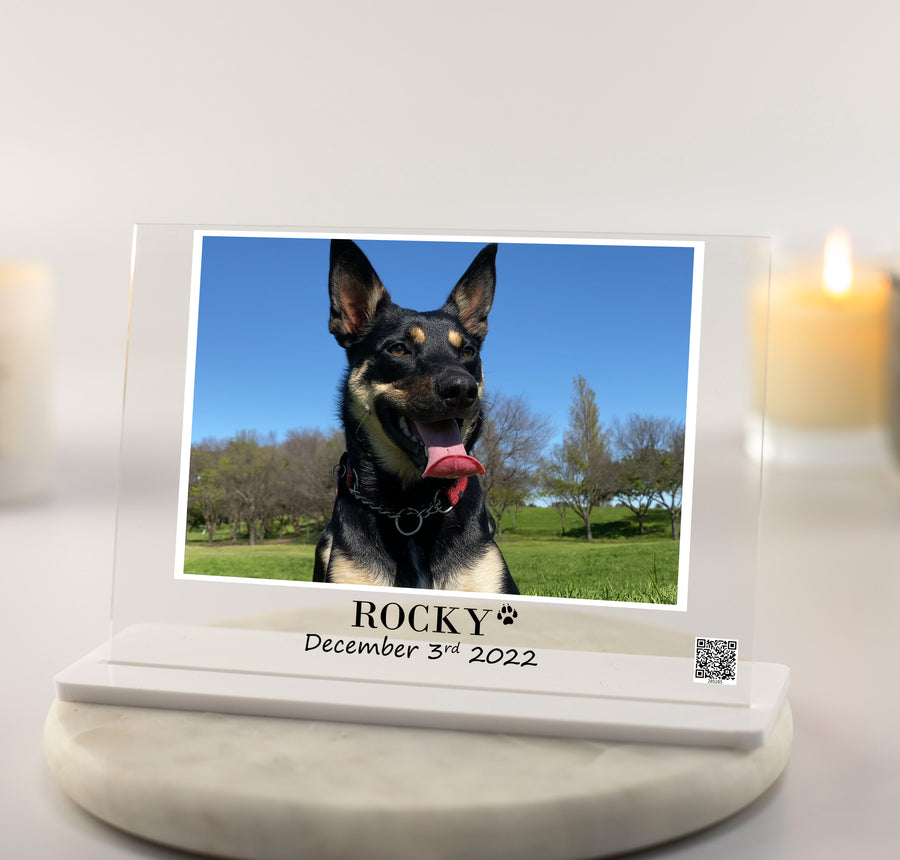 Dog Memorial Photo Memory Plaque, A5 Acrylic